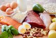 Diyette Protein Alımının Önemi