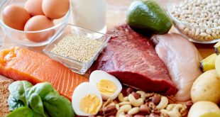 Diyette Protein Alımının Önemi