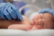Düşük Doğum Ağırlıklı Bebek Doğuran Lohusaların Gebeliklerindeki Beslenme Durumları