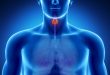 tiroid hastalıklarında beslenme